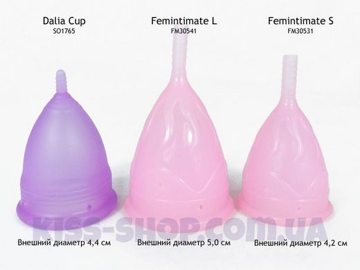 Менструальная чаша Femintimate Eve Cup размер S с переносным душем