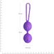 Вагінальні кульки Adrien Lastic Geisha Lastic Balls Mini Violet S