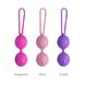 Вагінальні кульки Adrien Lastic Geisha Lastic Balls Mini Violet S