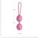 Вагінальні кульки Adrien Lastic Geisha Lastic Balls Mini Pink S
