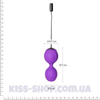 Вагинальные шарики с вибрацией Adrien Lastic Kegel Vibe Purple