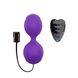 Вагинальные шарики с вибрацией Adrien Lastic Kegel Vibe Purple