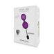 Вагинальные шарики с вибрацией Adrien Lastic Kegel Vibe Purple